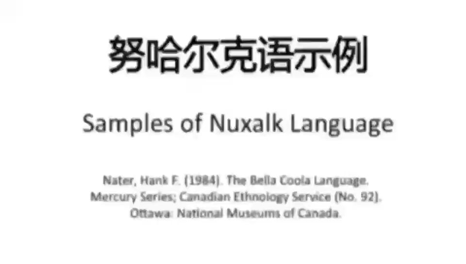 欢乐的小语种教学